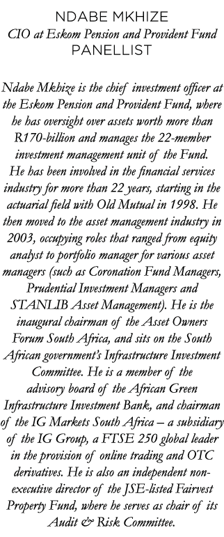 Ndabe Mkhize CIO at Eskom Pension and Provident Fund Panellist Ndabe Mkhize is the chief investment officer at the Es   