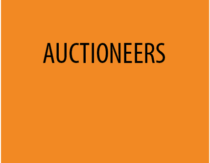 AUCTIONEER