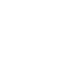 2013 - 2020 AVERAGE EXECUTIVE FEMALE REPRESENTATION 15% 