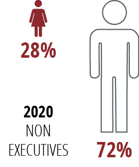 2020 NON EXECUTIVES,72%,28