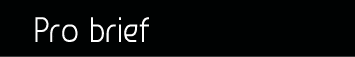 Pro brief