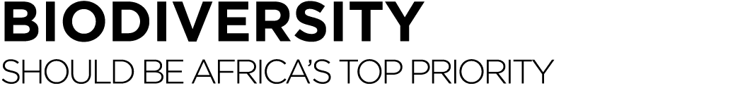 Biodiversity Should be Africa s top priority