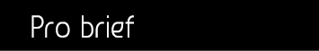 Pro brief