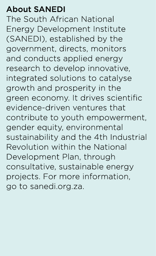 About SANEDI The South African National Energy Development Institute (SANEDI), established by the government, directs...