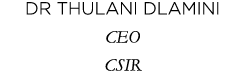 Dr Thulani Dlamini CEO CSIR