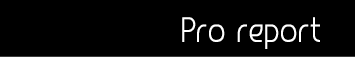 Pro report